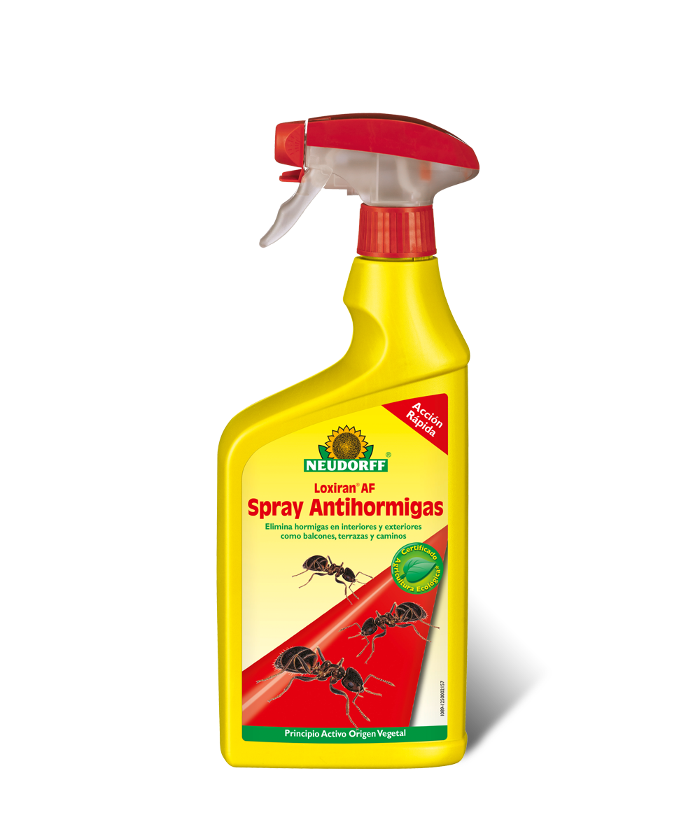 Loxiran Af Spray Antihormigas NEUDORFF